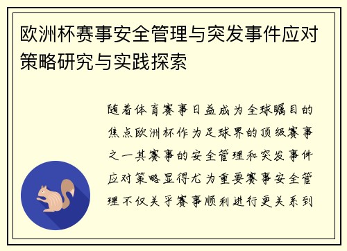 欧洲杯赛事安全管理与突发事件应对策略研究与实践探索